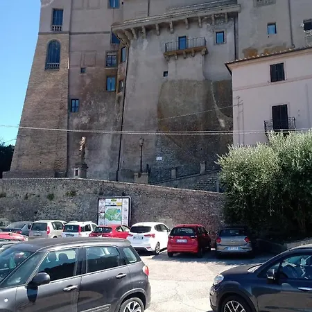 Sacrobosco Ulivo *
