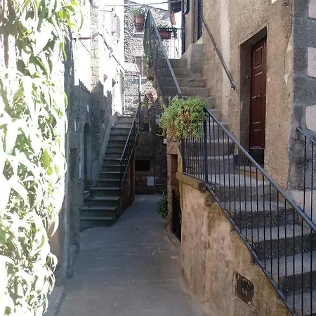 Sacrobosco Ulivo Appartamento